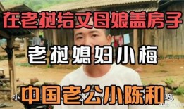 老挝小伟爆料视频,揭秘神秘视频背后的真实故事